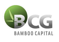 Bamboo Airways