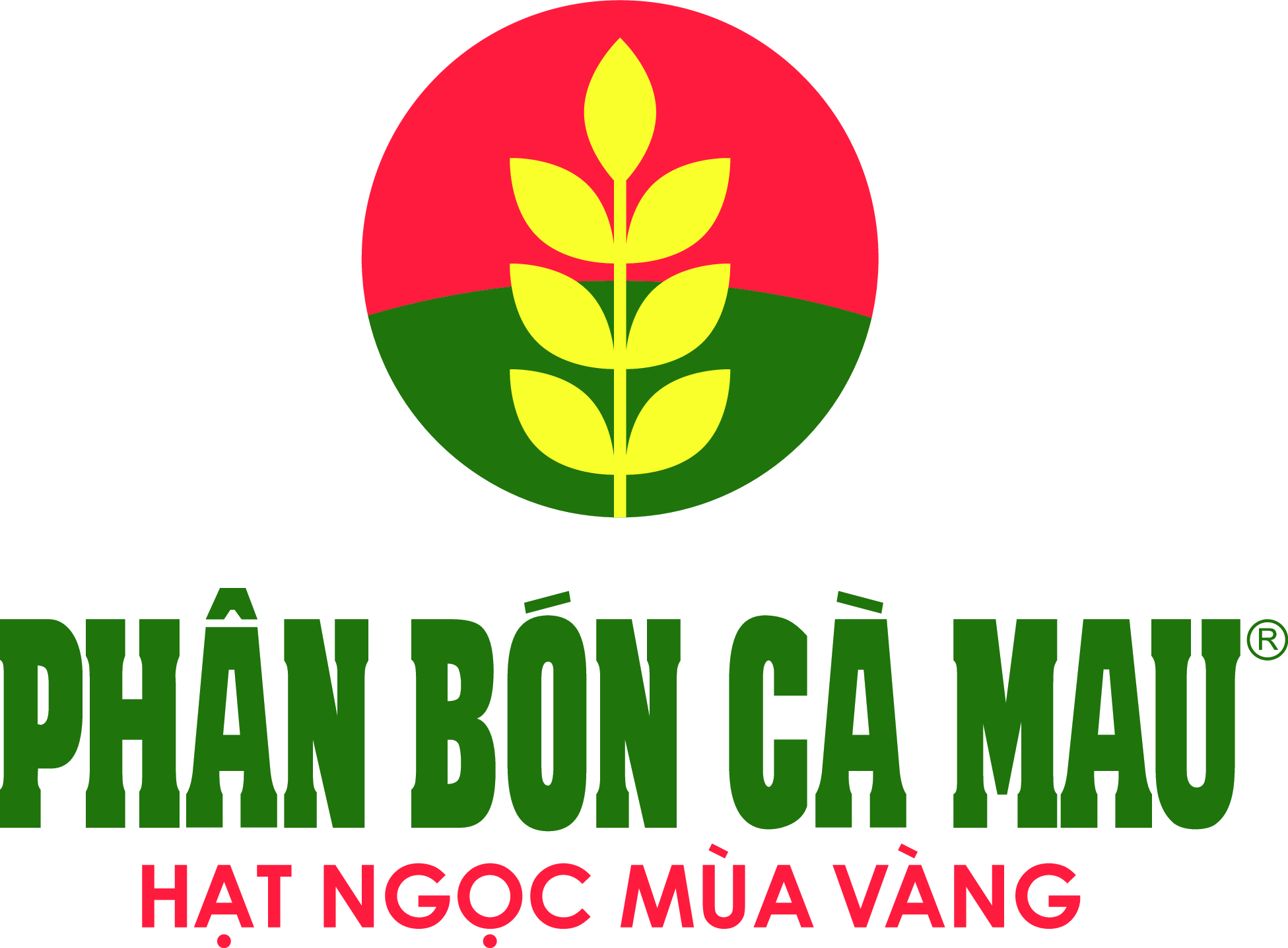 Phân bón Cà Mau